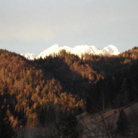 Apartamento Apartma Podlogar Golica Triglav Jesenice Exterior foto